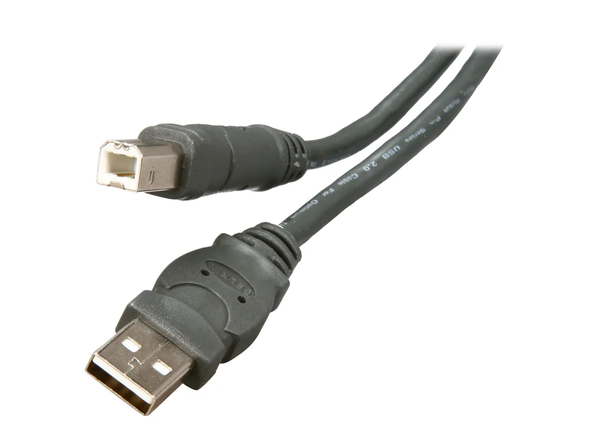 Belkin Belkin F3U133b16 USB 2.0 A to B cable 16ft — product photo