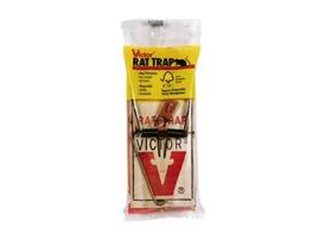 Wooden snap rat trap on natural finished base with metal trigger and safety catch