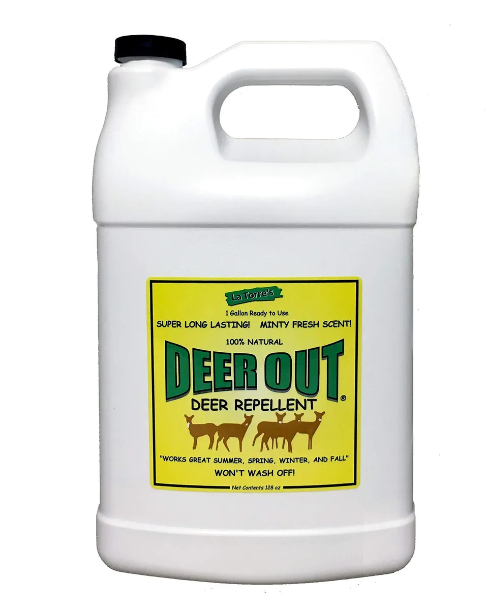 White plastic one-gallon jug with handle and screw cap, labelled Deer Out deer repellent