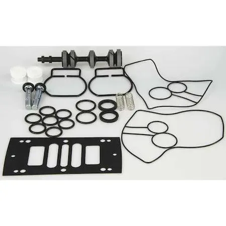 Dayton Dayton 22A618 Air End Repair Kit Buna N 1 In — product photo