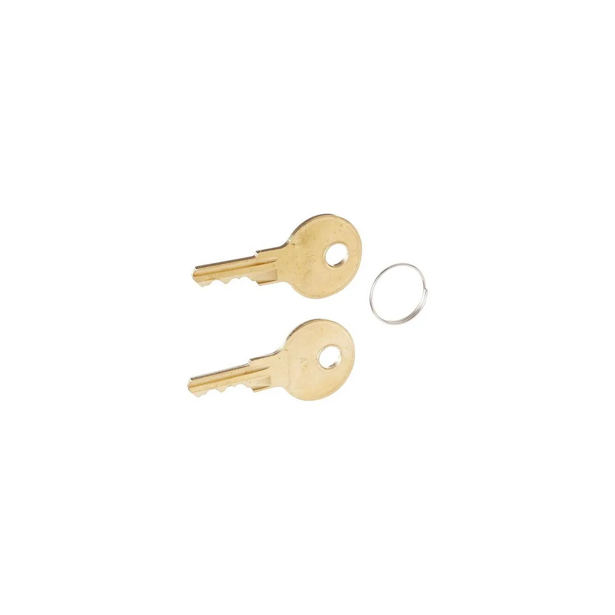 Two small brass keys with A9 code on a ring