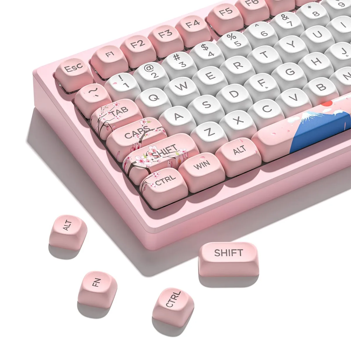 Womier Womier 131-Key MOA Cherry Blossom Keycap Set Pink & White — product photo
