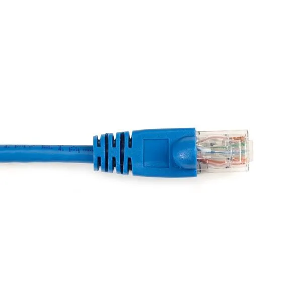 Black Box Corporation Black Box Corporation CAT6PC-015-BL network ethernet cable 15 ft blue — product photo