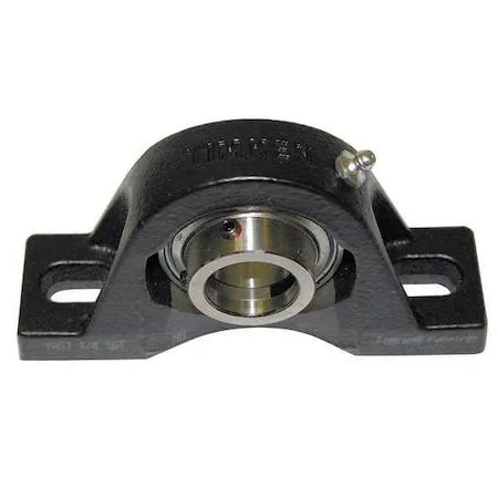 Grey cast-iron pillow block bearing with double-sealed radial ball insert, 1-inch cylindrical bore, two bolt-through mounting holes