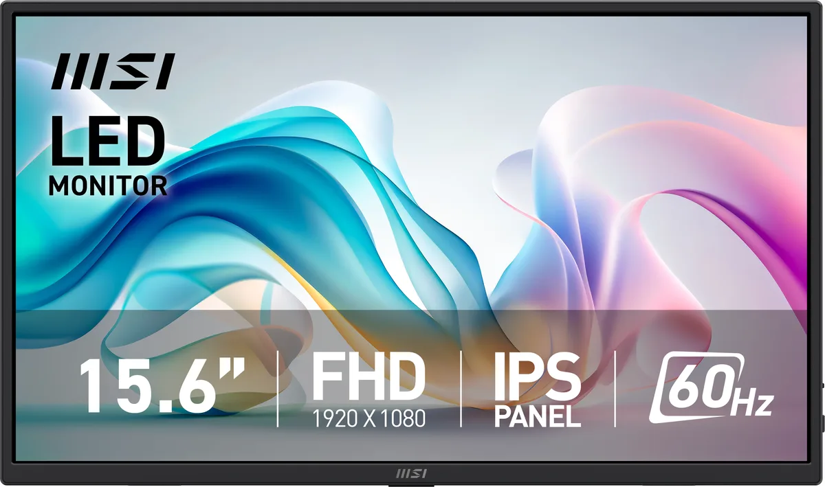 MSI MSI Pro MP165 E6 15.6" FHD 60Hz IPS portable monitor — product photo