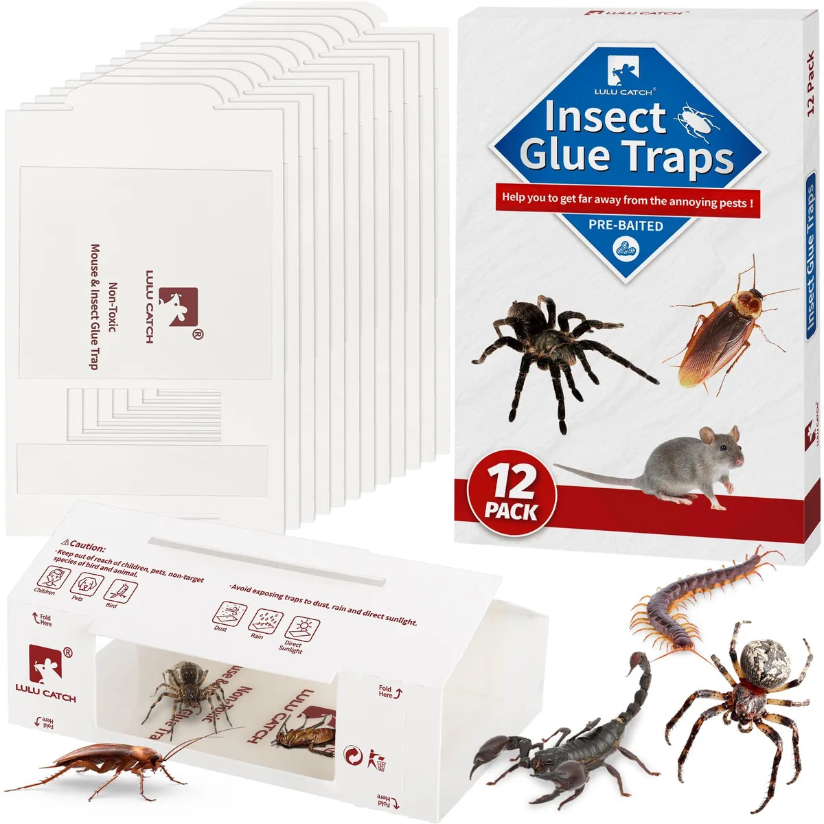 Twelve flat cardboard glue boards with peanut butter scent, folded or laid flat