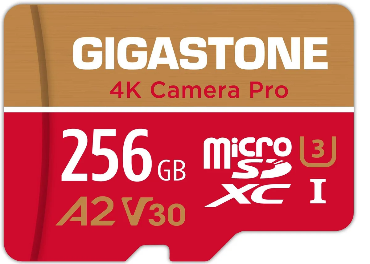 Gigastone Corporation Gigastone Corporation 4K Camera Pro 256GB microSDXC memory card — product photo
