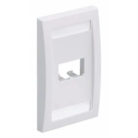 Ivory single-gang plastic wall plate with two module ports