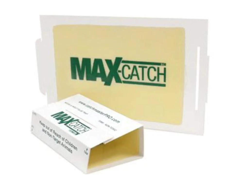 Flat rectangular cardboard glue boards in a bulk pack, peanut butter scented, low profile for floor placement