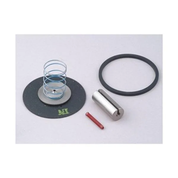 Dayton Dayton 066049 Valve Rebuild Kit 3/4 in — product photo