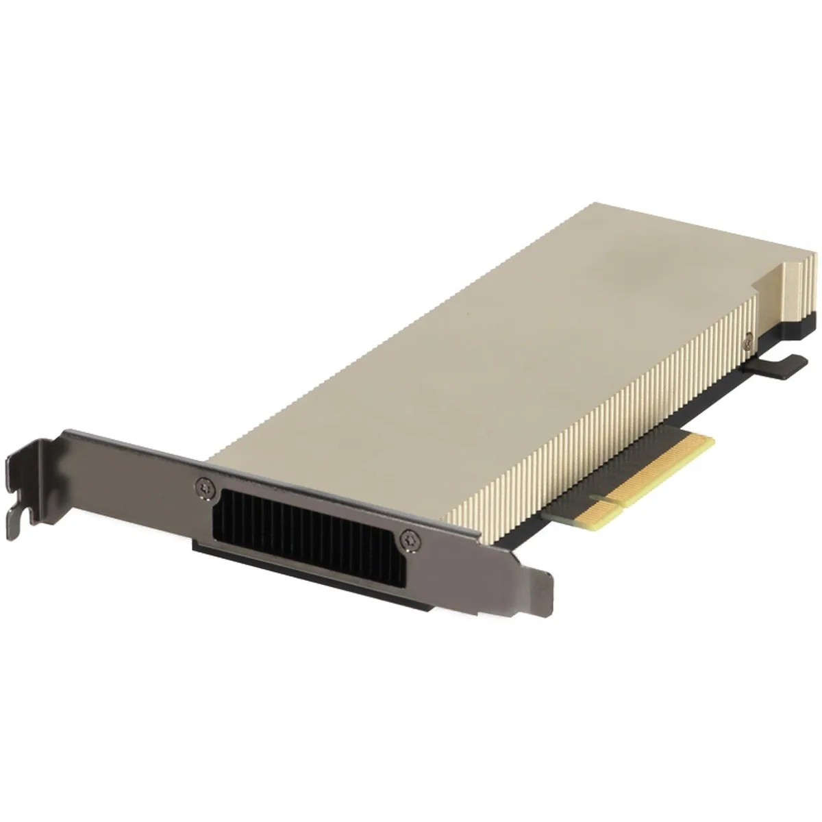 DELL DELL 490-BHVP NVIDIA A2 Tensor Core 16GB GDDR6 60W FHHL GPU — product photo