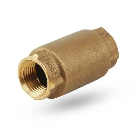 Cast brass inline spring check valve two inch FIP