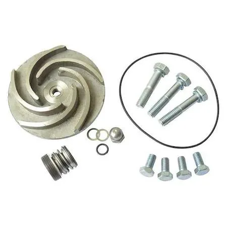 Dayton Dayton 21TG73 Pump Repair Kit Viton Gasket for 2ZWX1 2ZWX2 — product photo