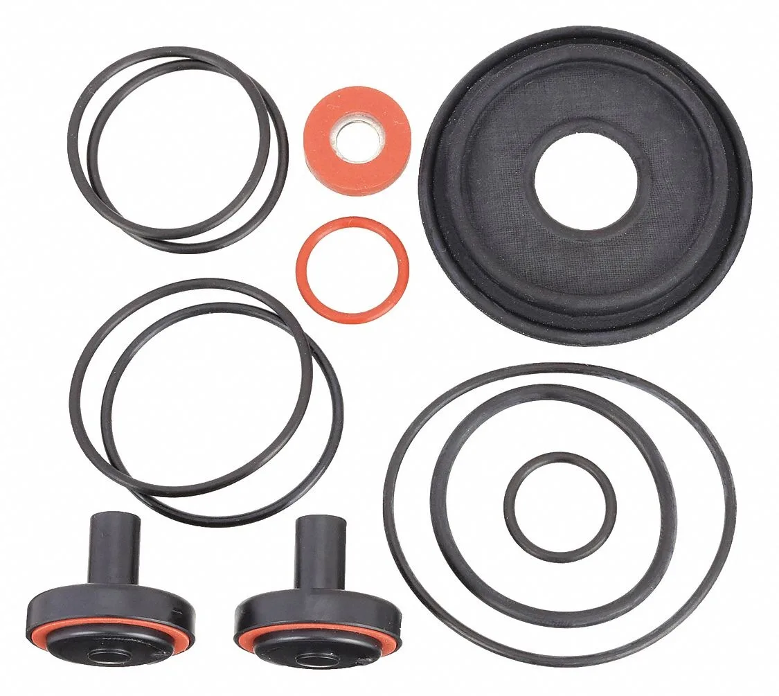 Transparent repair kit with assorted O-rings and disc assemblies