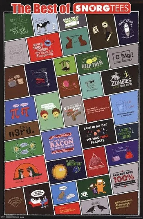 Posterazzi TIARP13371 grid poster print 22 x 34 inches