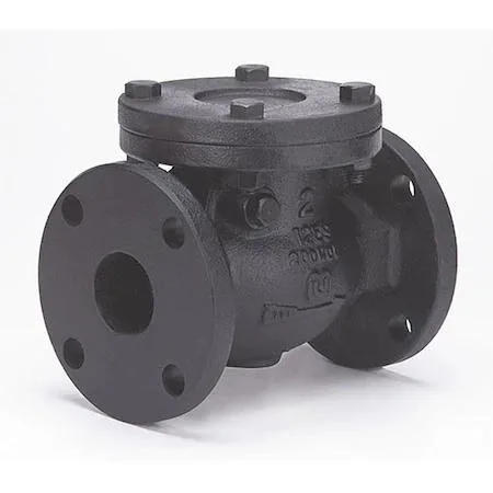 Flanged cast iron swing check valve with bronze seat, silver-grey finish
