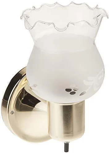 Polished brass wall light with frosted grape glass shade and on/off switch