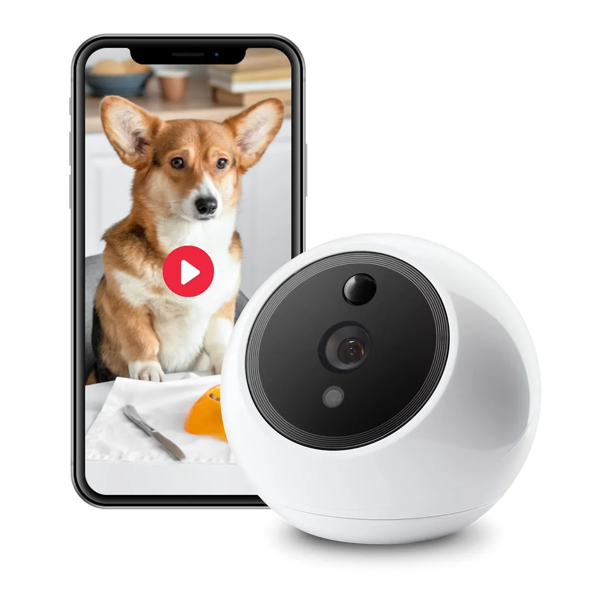Amaryllo Amaryllo Apollo Pet Camera White 1080p 360° 20ft Pet Detection network camera — product photo