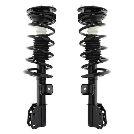 Pair of silver front strut assemblies with coil springs and top mounts
