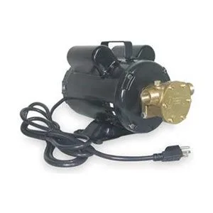 Bronze utility pump with 8 ft cord and FNPT connections