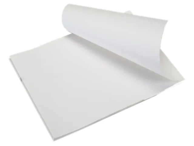 White rectangular thermal label sheet perforated on letter paper