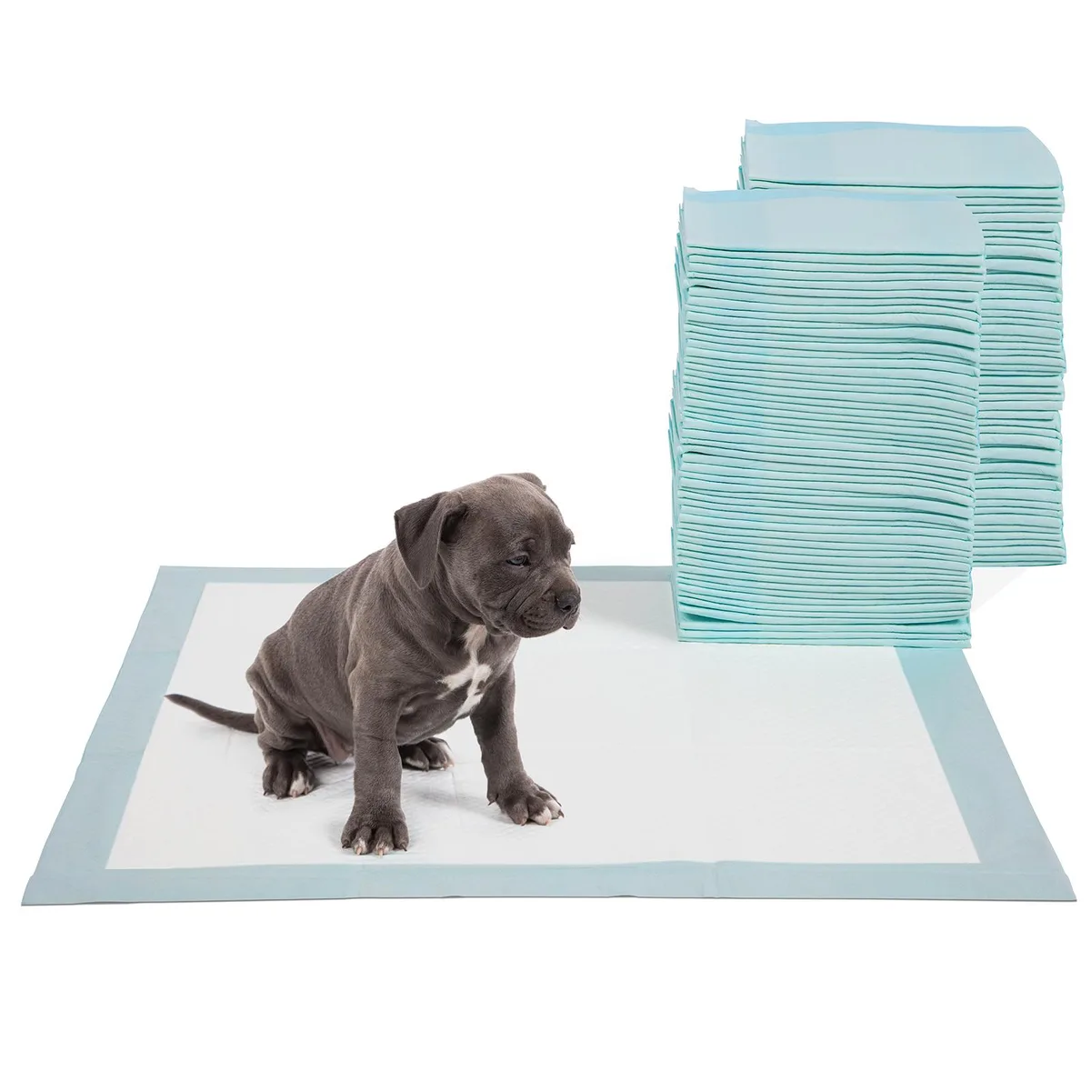 Stack of 36 blue rectangular puppy pads, 16.5 by 23.5 inches, quilted top layer