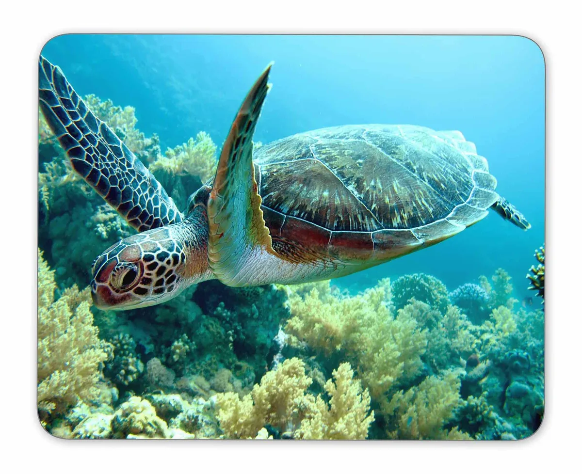 QJ CMJ Green Sea Turtle Multicolor Mouse Pad 9.5 x 7.9 in — product photo