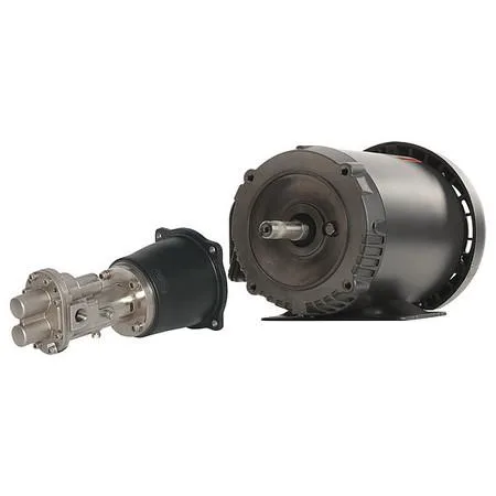 Dayton 41TK15 rotary pump, metal housing, motor mounted on base