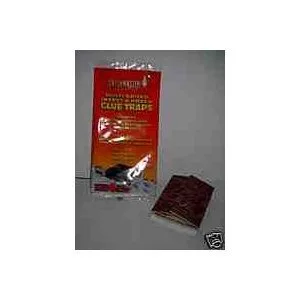 Four rectangular glue boards in a pack, each about seven inches long and three and a half inches wide