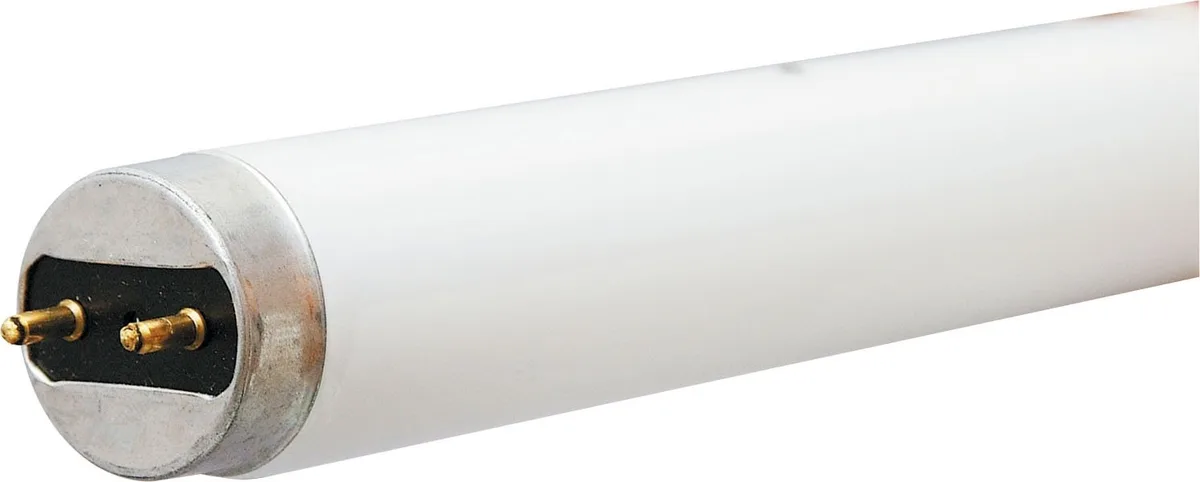 GE GE 10322 32W 3100lm T8 Fluorescent Tube Cool White 48in G13 36-Pack — product photo