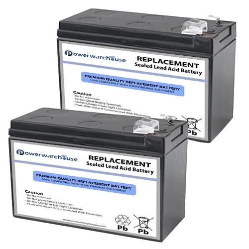 Two sealed 12V lead-acid cartridges labelled RBC110 for APC BE550G