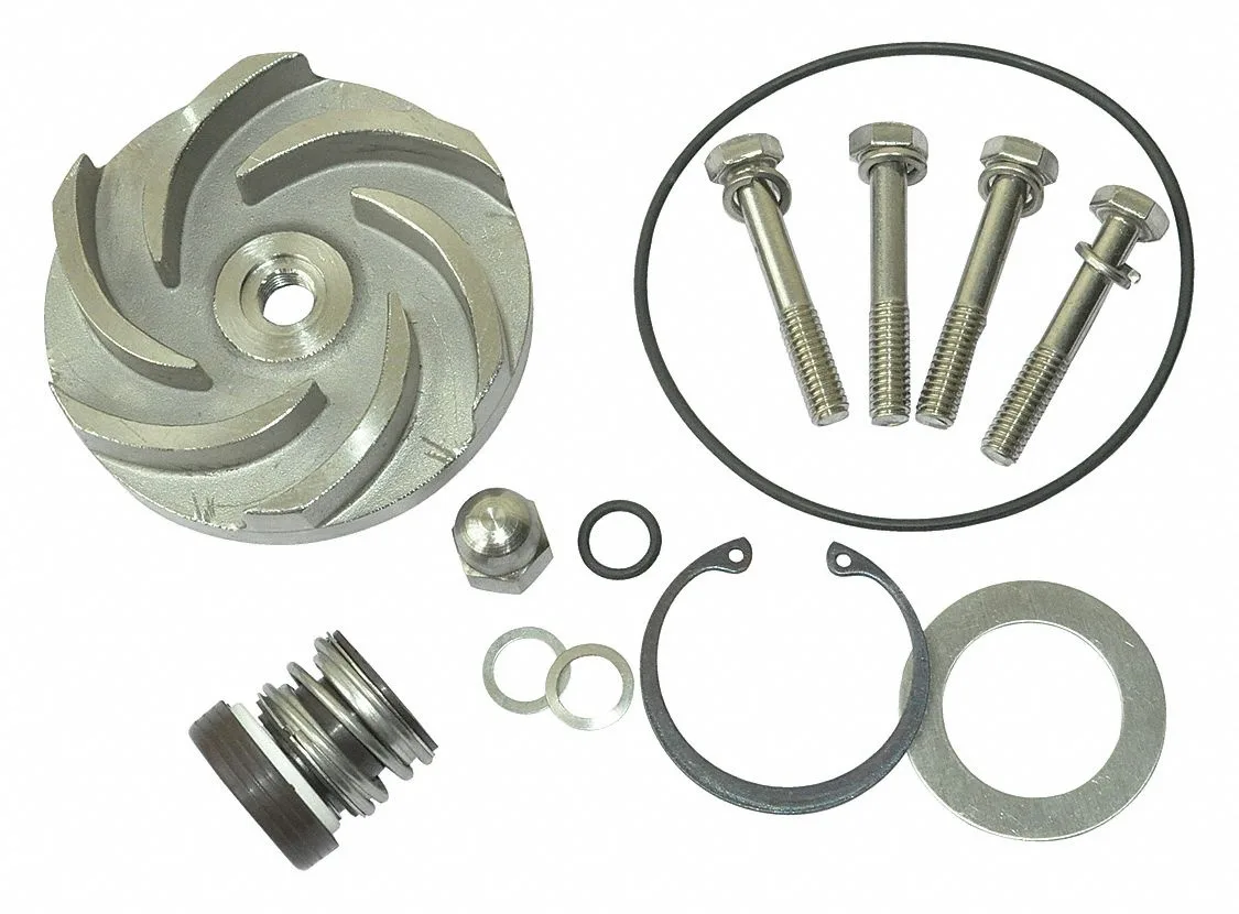Dayton Dayton 21TG91 Pump Repair Kit for 2ZWZ1A indoor maintenance — product photo
