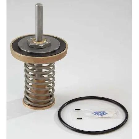 Watts 909 first check repair kit components in clear bag