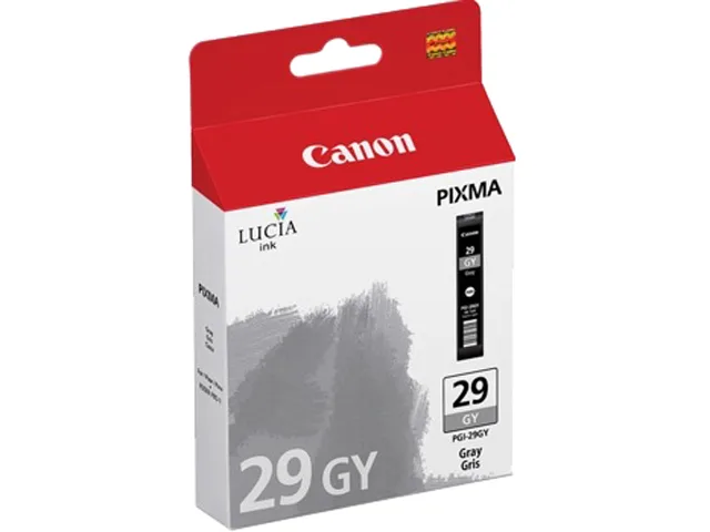 Rectangular Canon PGI-29 gray ink cartridge, model 4871B002