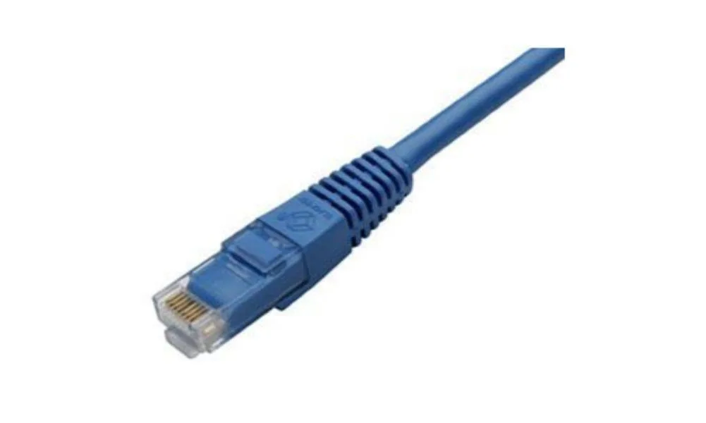 Black Box Corporation Black Box GigaTrue Cat6 550 MHz UTP Patch Cable Blue 6 ft 1.8 m — product photo