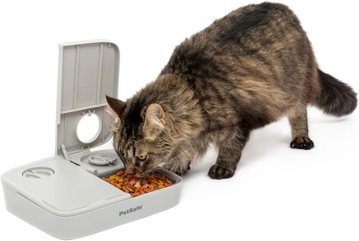 GCROWN GCROWN Analog 2 Meal Programmable Pet Feeder 3 Cup 16 Ounce — product photo