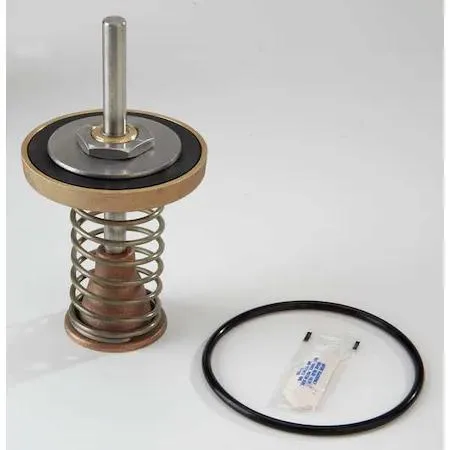 Small repair kit with assorted rubber O-rings and molded disc assemblies in plastic bag