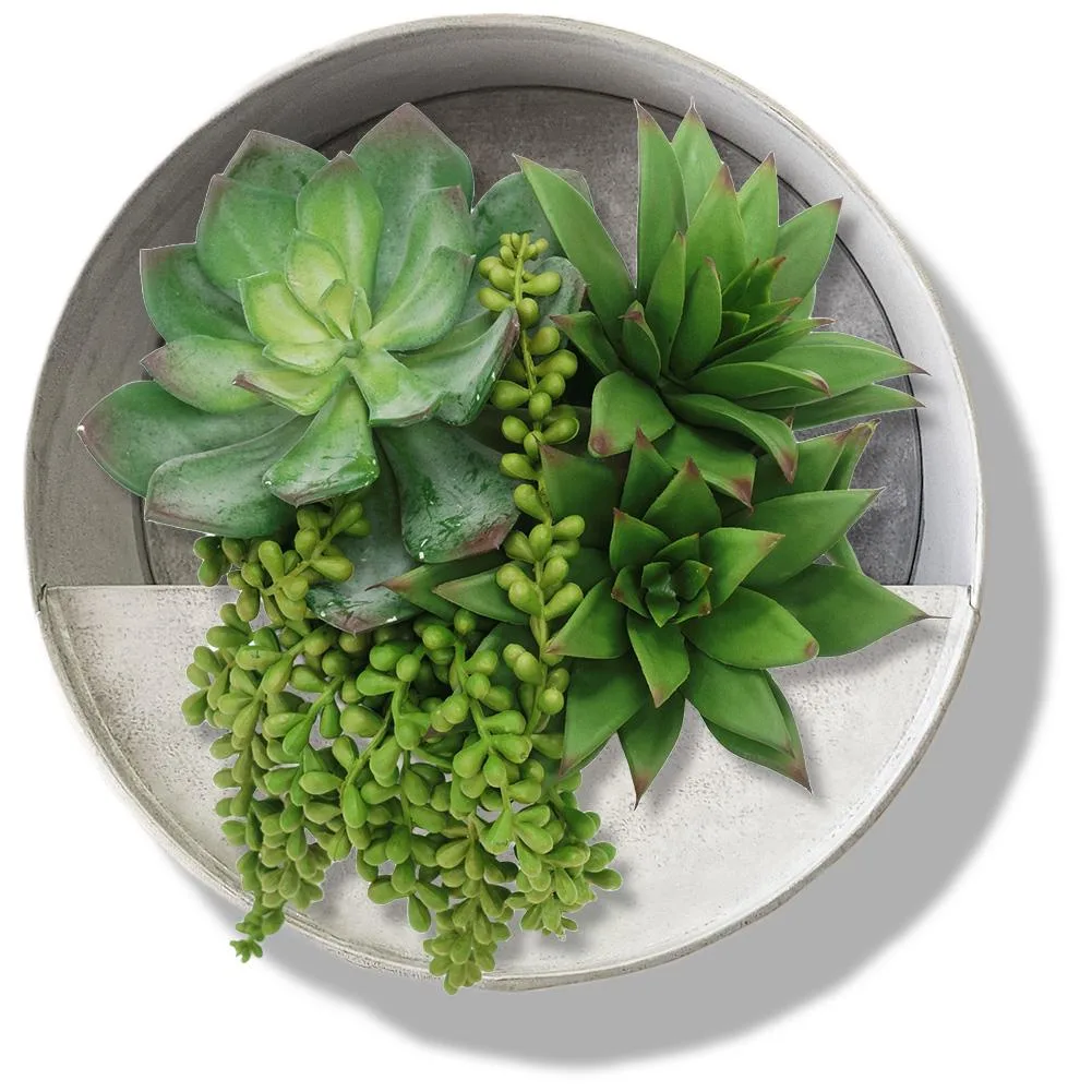 Small round galvanised steel planter in aged zinc finish, wall-mounted with two slots