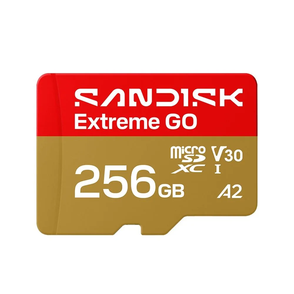 SanDisk SanDisk Extreme Go microSDXC 256GB 240MB/s SDSQXGN-256G-GN6MN memory card — product photo