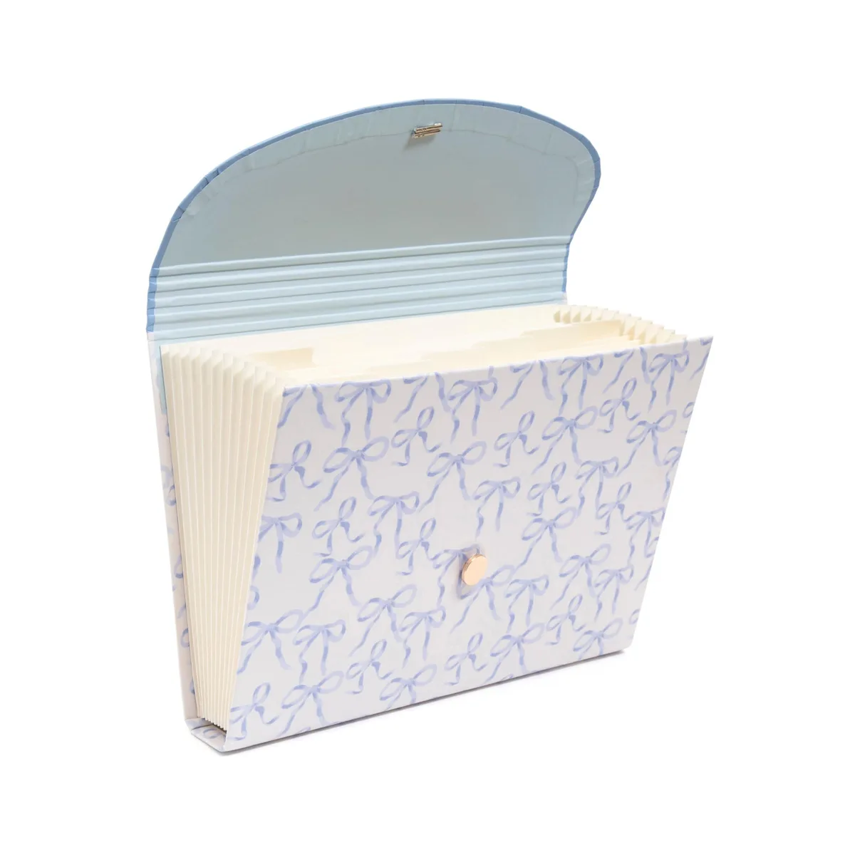  13-Pocket Accordion File Organizer Letter Size Charming Coquette — product photo