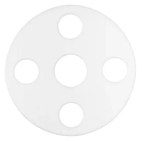 White PTFE full-face flange gasket with eight bolt holes