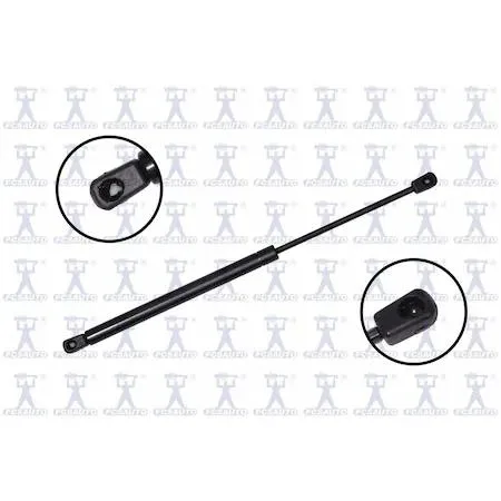 Transparent automotive lift support tailgate strut