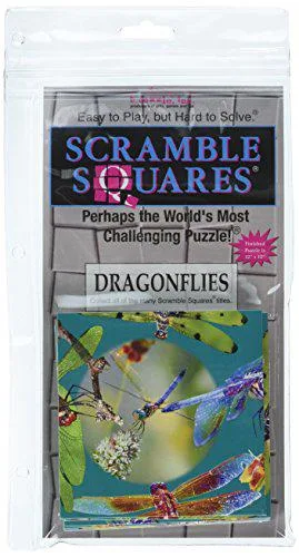 Nine-piece square puzzle with dragonfly artwork in box