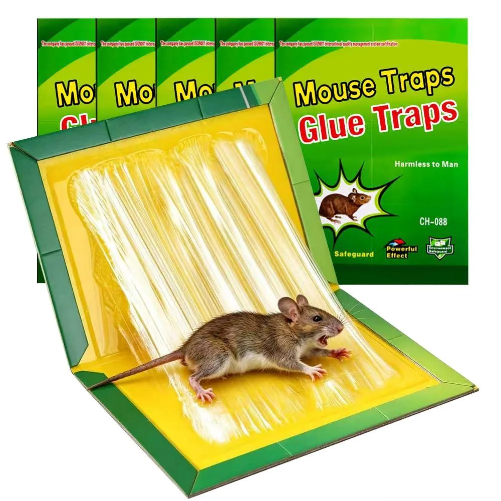 Five flat rectangular glue traps in a stack