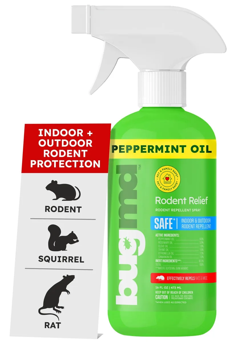 Clear plastic spray bottle with green label 16oz