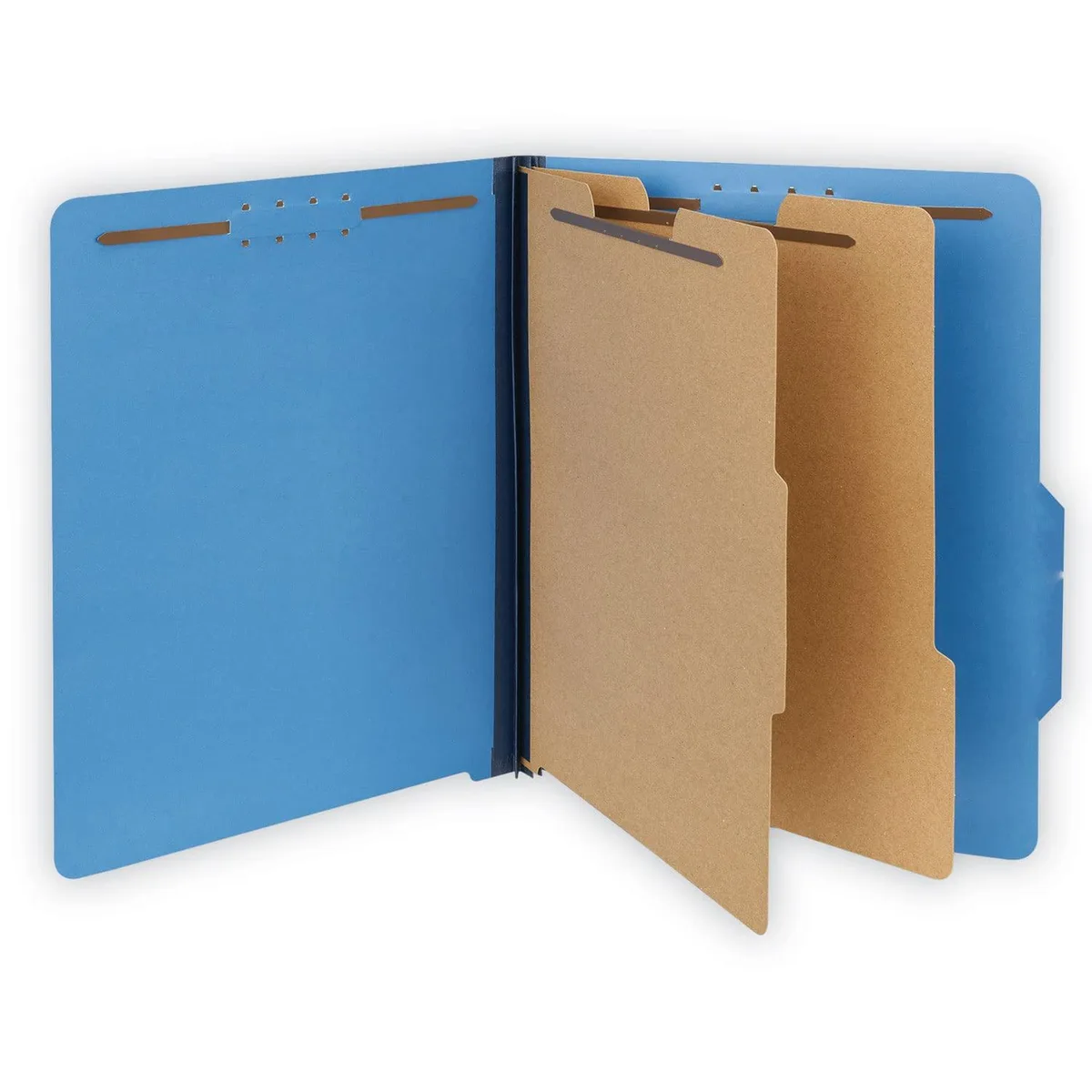 Pendaflex 2-Divider Classification Folders Letter Size Cobalt Blue 10-Pack — product photo
