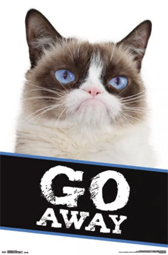Grumpy Cat Go Away poster print 22 by 34 inches on heavy stock paper