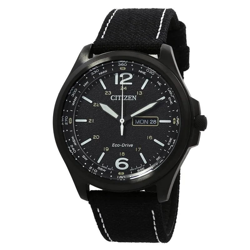 Black 44 mm round stainless steel case, black dial with compass markers, day/date window, black nylon strap with pin buckle
