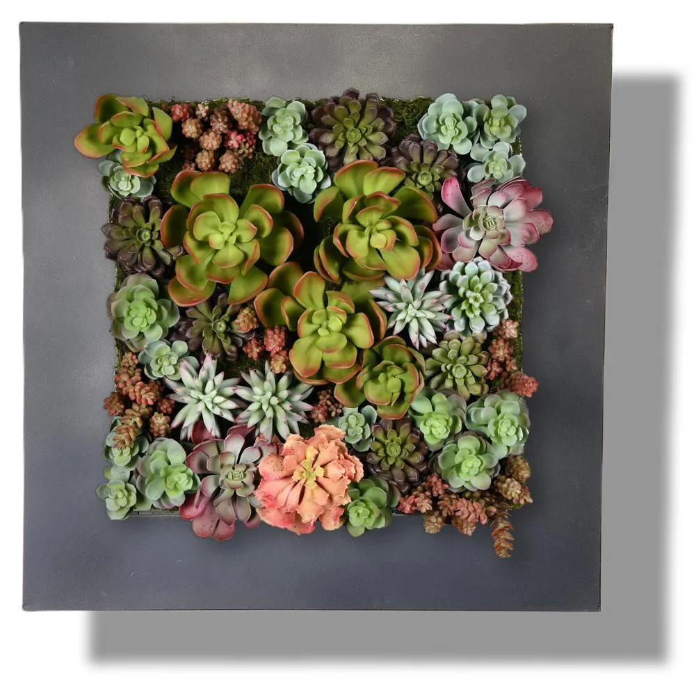 Vandue Corporation Vandue Corporation Wall Galvanized Steel Succulent Planter Black Zinc 16 Pocket — product photo