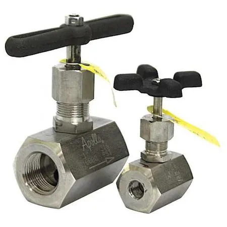 Stainless steel globe valve with cross handle and FNPT connections